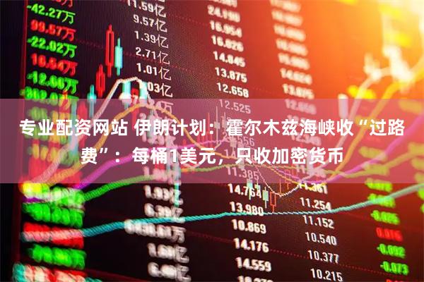 专业配资网站 伊朗计划：霍尔木兹海峡收“过路费”：每桶1美元，只收加密货币